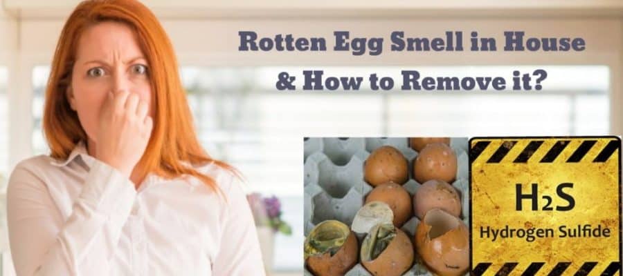 rotten egg smell kitchen sink drain