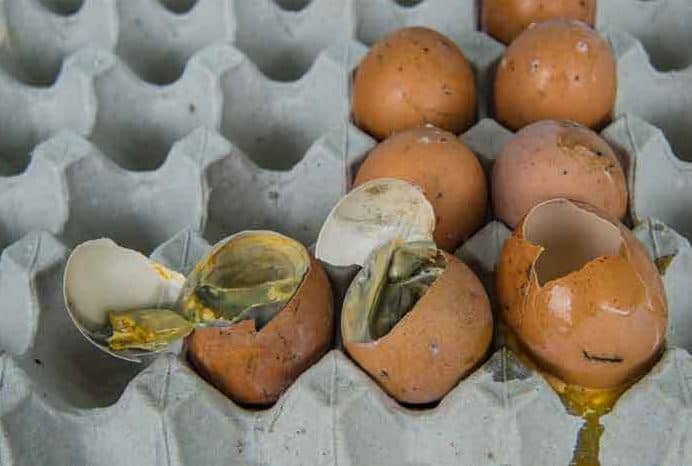 rotten egg smell in kitchen sink