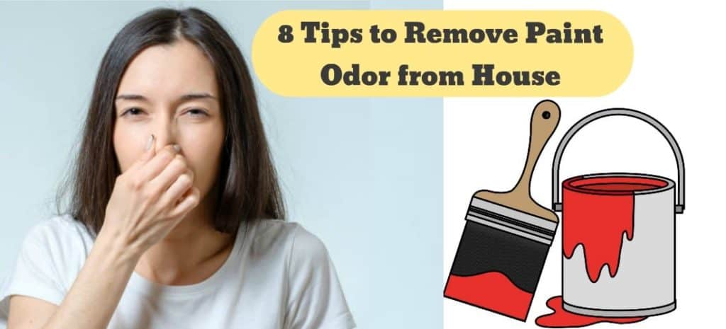 paint-smell-in-house-8-quick-remedies-to-remove-it-civiconcepts