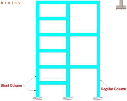 What Is Column In Column? – Difference Between Short Column and Long ...