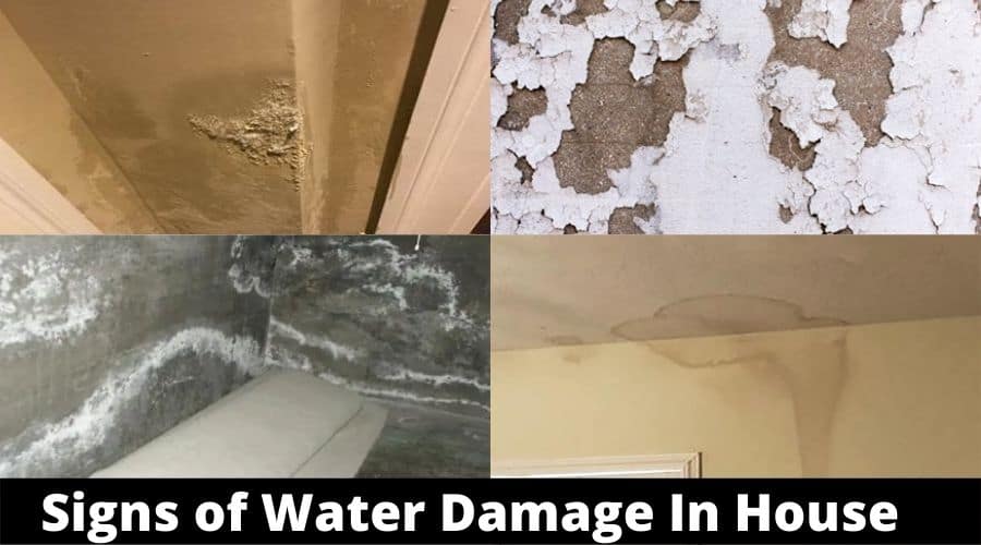 Indicators of Water Damage Behind Walls