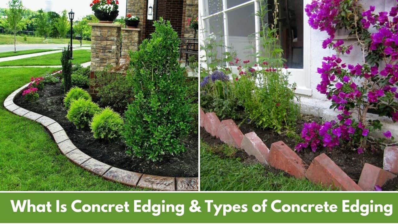 Concrete Garden Borders Edging Fasci Garden