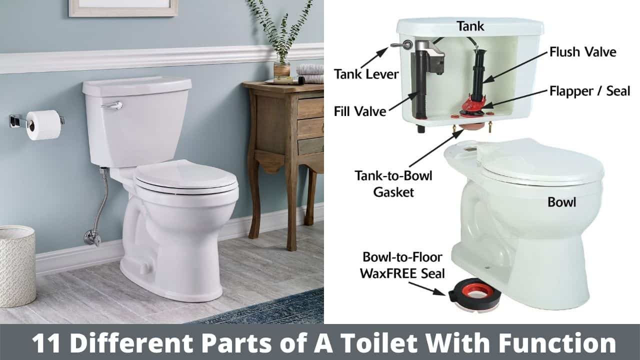 11 Parts Of Western Toilet: Their Name & Bowl Parts