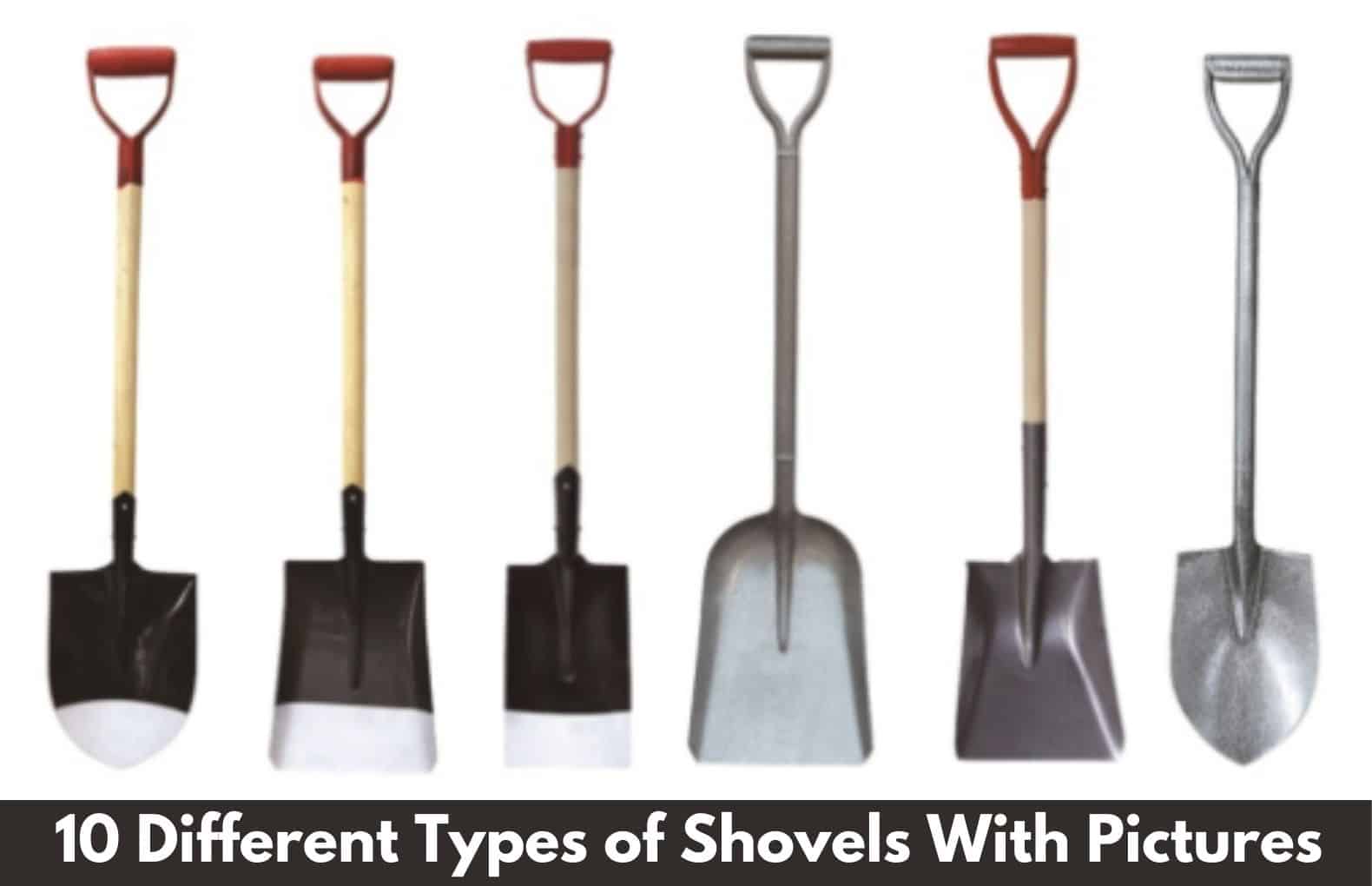 From Digging To Transplanting: 11 Different Types Of Shovels For ...