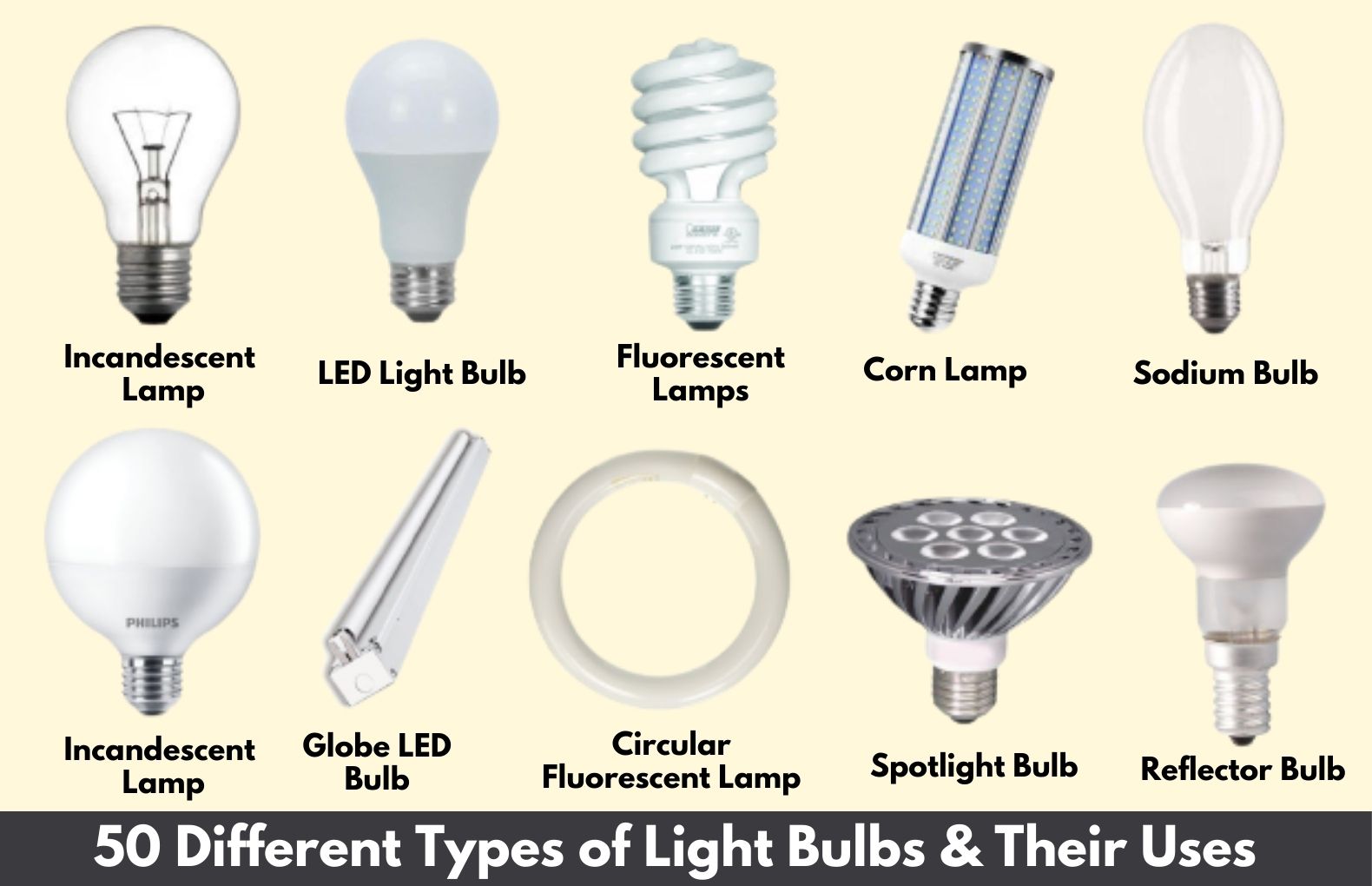 Types of light on sale bulbs colors