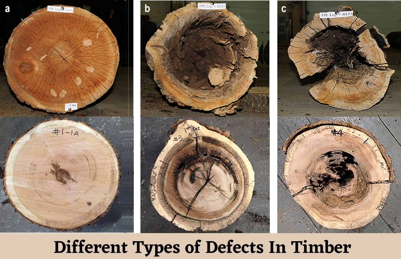 Defects In Timber